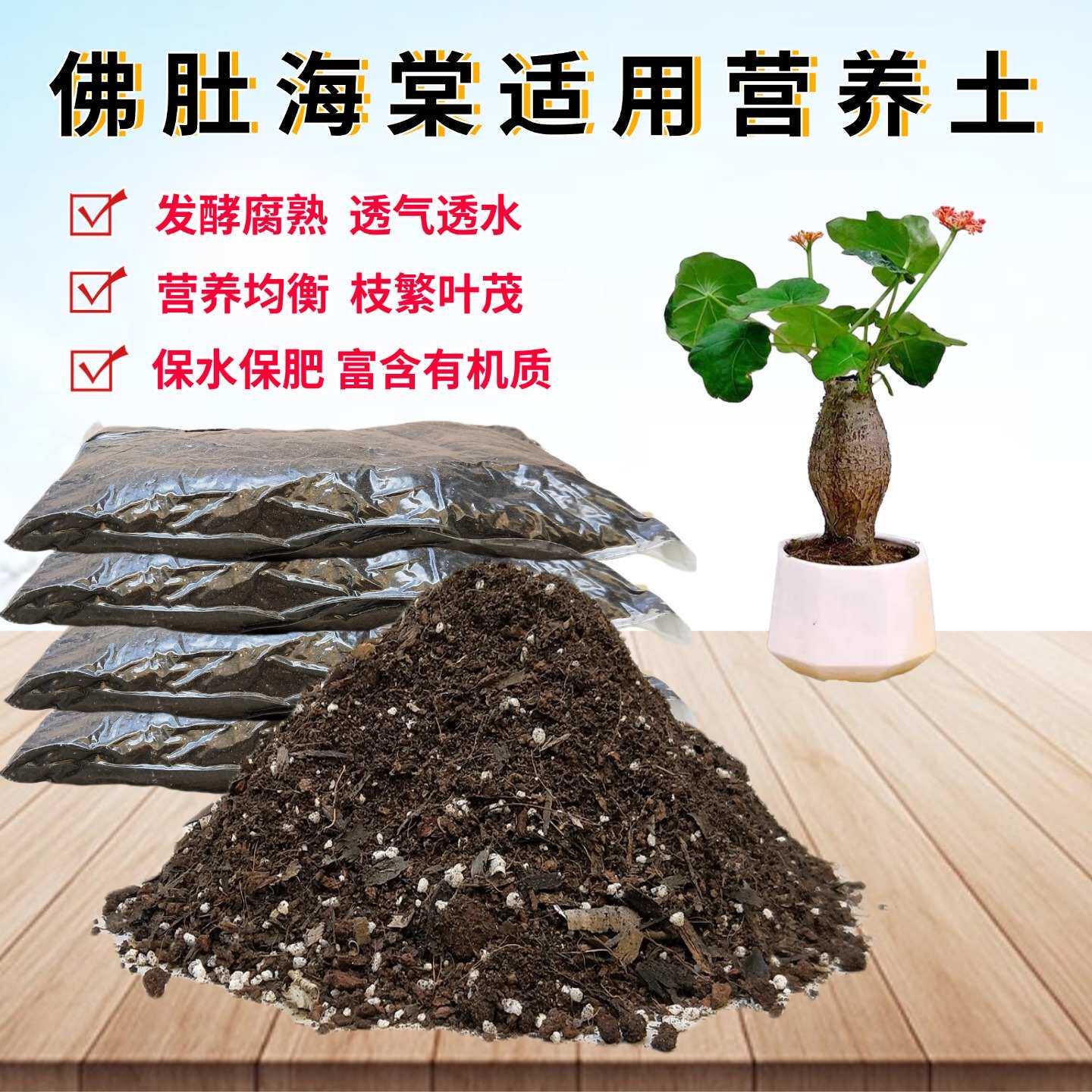 佛肚海棠椰砖土种植土透气图片