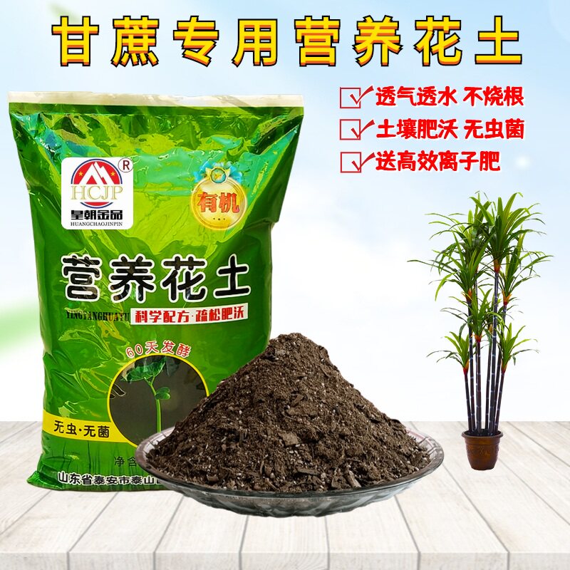 甘蔗树苗营养花土翻换种植土透气图片