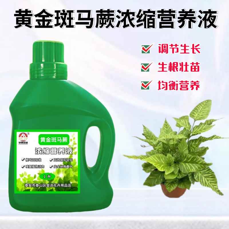 斑马蕨浓缩营养液氮磷钾养花肥料