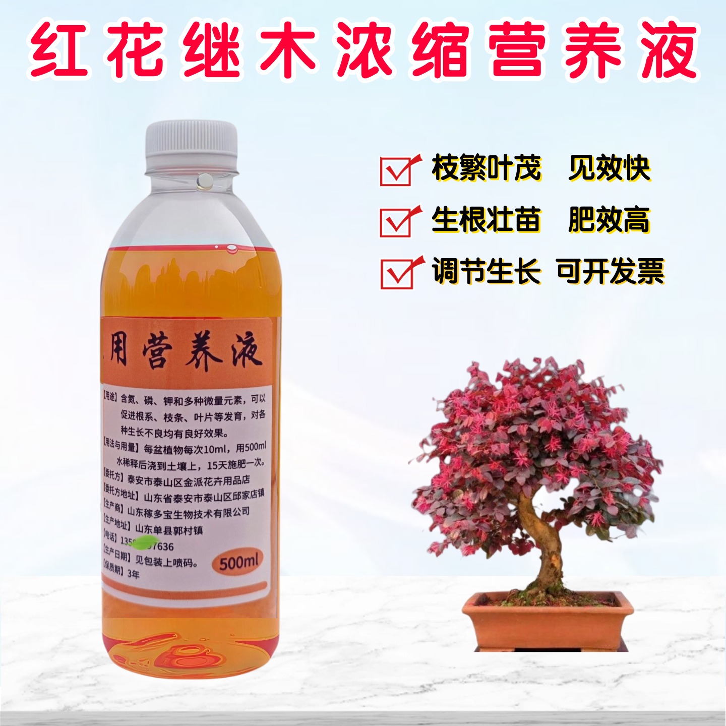 红花继木浓缩营养液养花木肥料