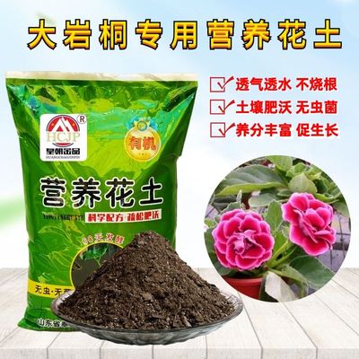 大岩桐营养花土翻换种植土透气