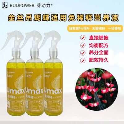 金丝吊蝴蝶免稀释营养液卫矛室内老桩盆景绿植专用花喷施叶面肥料