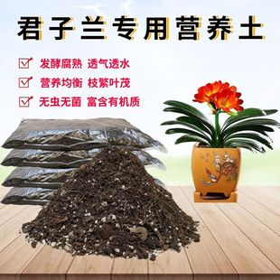 君子兰专用营养土微酸性家庭院种花卉绿植物盆景栽种植土疏松透气