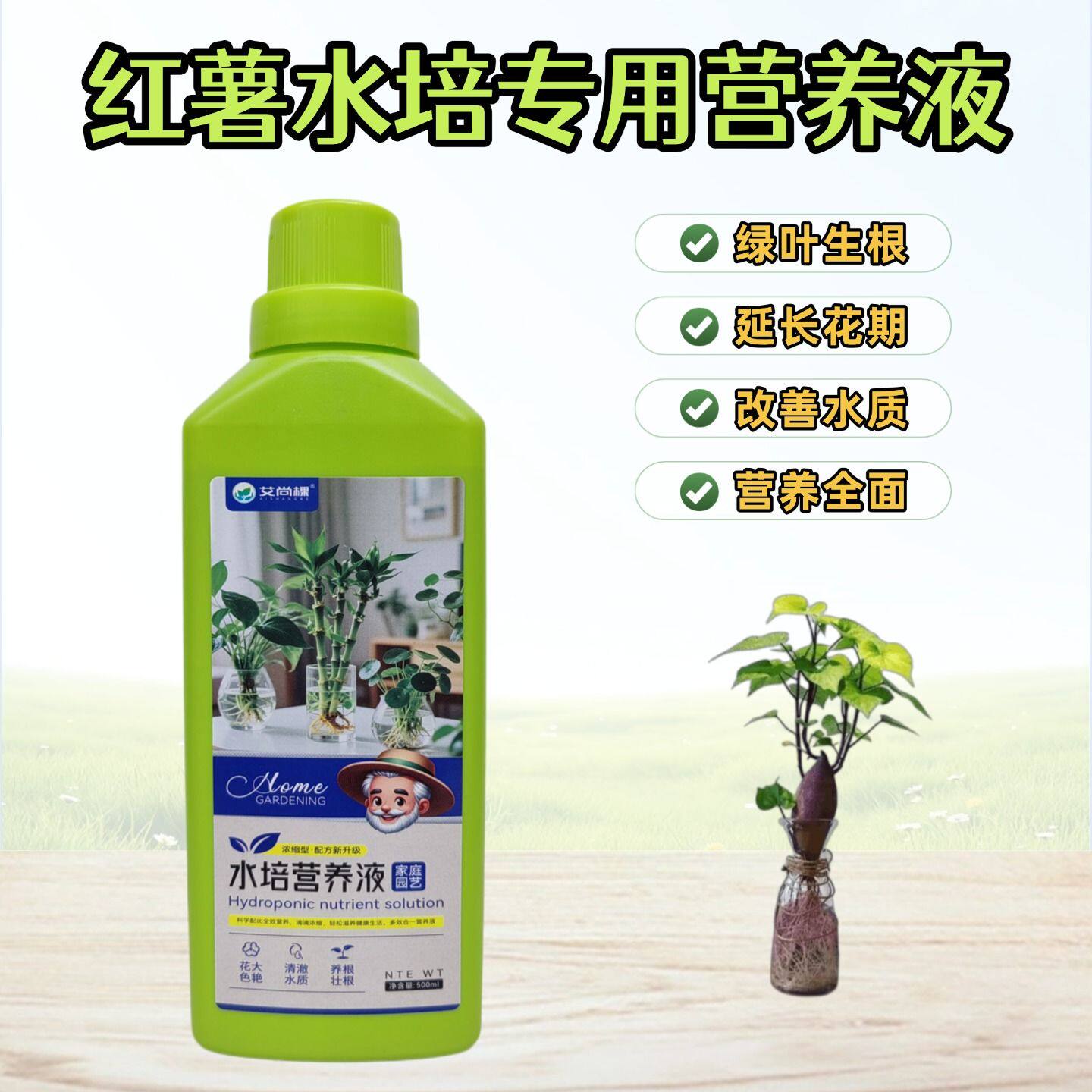红薯水培专用营养液学生幼儿园角观察盆栽植物生长山芋地瓜苗肥料
