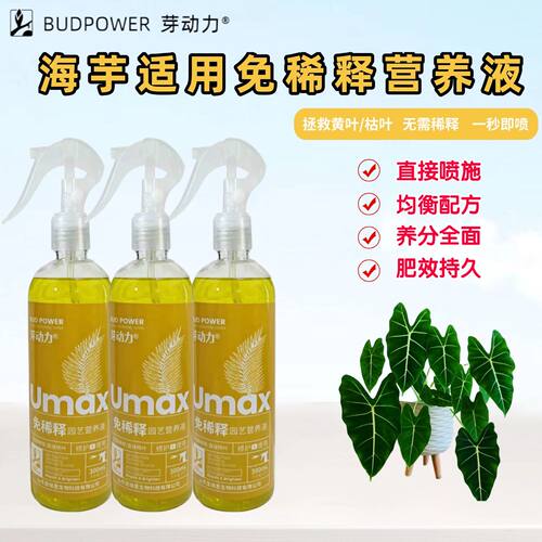 海芋免稀释营养液水溶花肥料