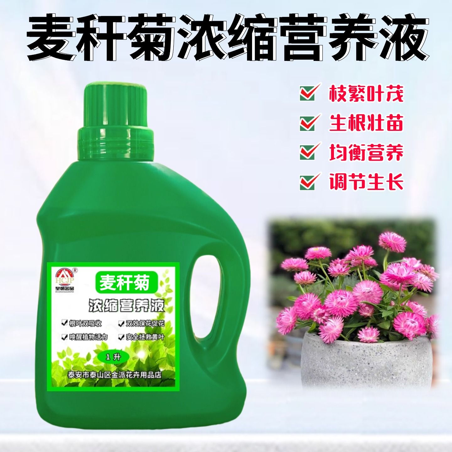 麦秆菊浓缩营养液氮磷钾养花肥料