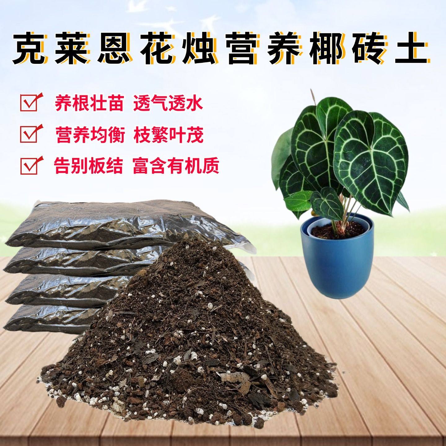 克莱恩花烛椰砖土种植土透气图片