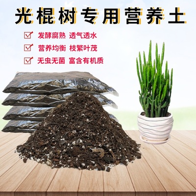 光棍树椰砖土翻换种植土疏松透气