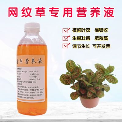 网纹草营养液氮磷钾水溶花肥料