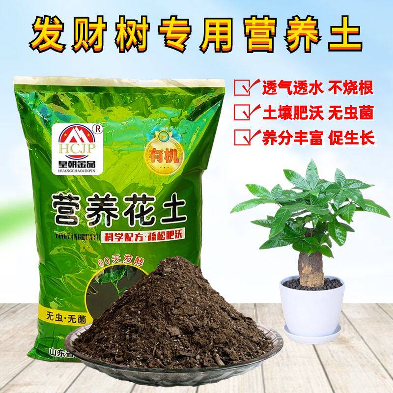发财树专用营养花土办公室内客厅盆景栽种绿植物翻换有机土壤透气
