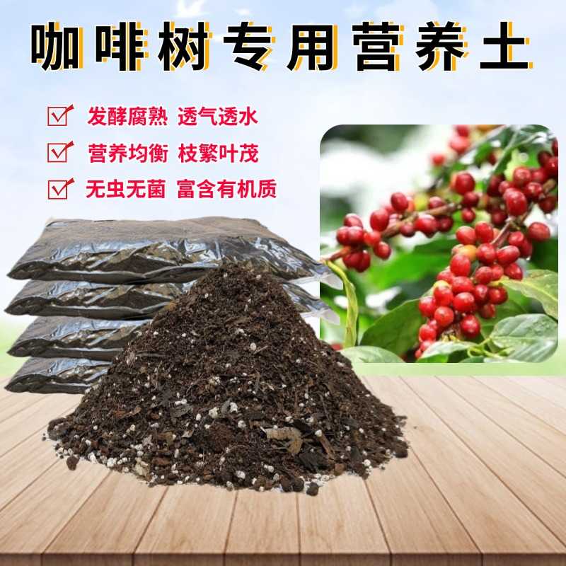 咖啡树椰砖土有机种植土透气图片