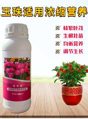 红玉珠紫玉珊瑚红果茵芋营养液盆栽绿植物专用氮磷钾水溶花卉肥料