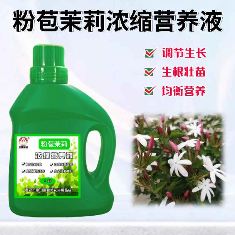 粉苞茉莉浓缩营养液养花肥料