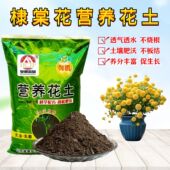 棣棠花重瓣营养花土室外庭院盆栽藤蔓攀援植物专用育苗种植土透气