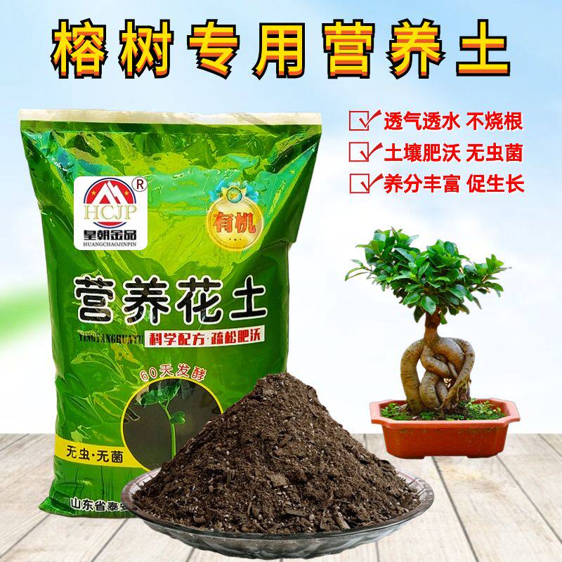 榕树小叶人参榕专用营养花土大小室内盆景栽种绿植物翻盆换土透气