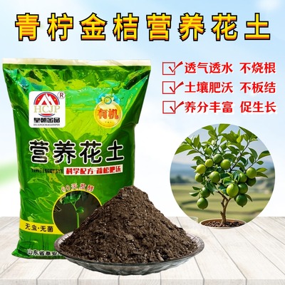 青柠金桔营养花土种植土透气