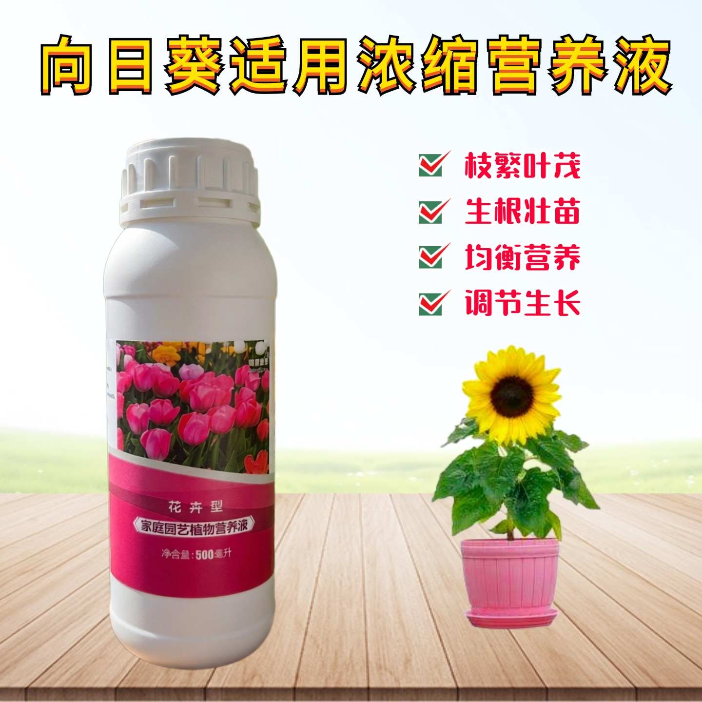 矮向日葵营养液室内阳台庭院盆栽多头植物专用氮磷钾水溶花卉肥料图片