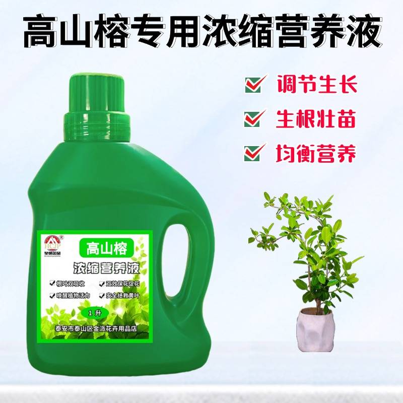 高山榕浓缩营养液通用养花肥料