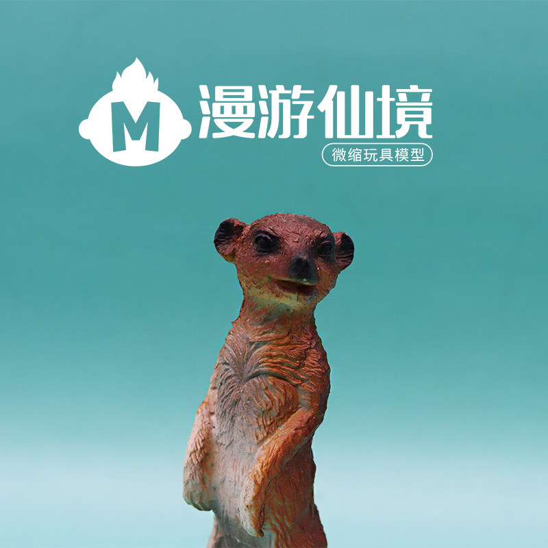 狐獴模型可爱萌宠仿真动物模型摆件儿童孩子认知玩具礼物稀有版