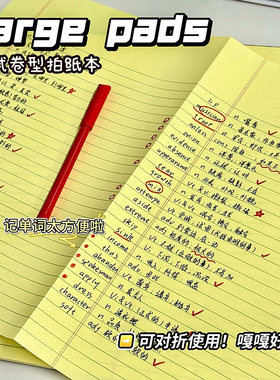 正版kaisa凯萨拍纸本美式可撕纸