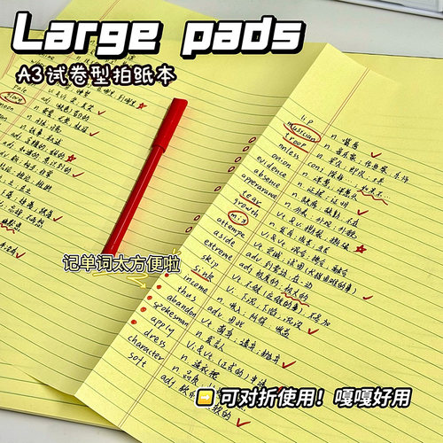 正版kaisa凯萨拍纸本美式可撕纸