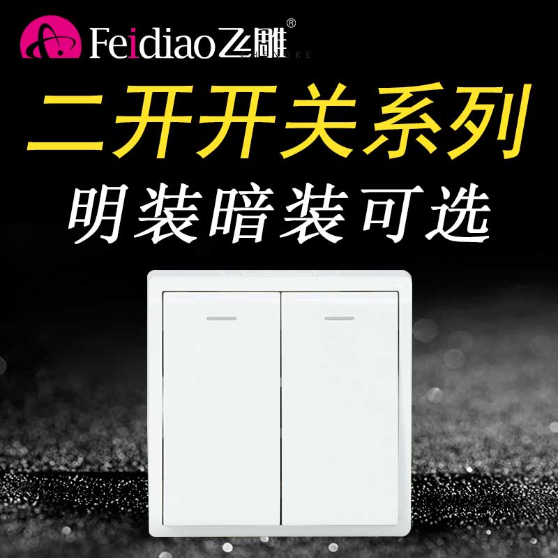 飞雕二开双控二开多控中途电灯开关家用灯开关面板双联86型明装