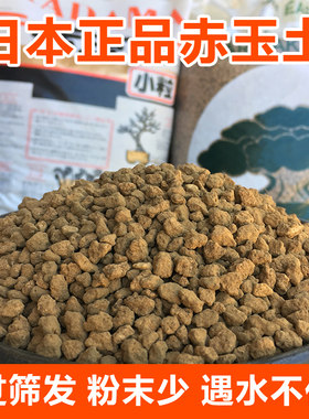 日本进口硬质赤玉土正品多肉法师盆景兰科专用铺面颗粒兰花营养土