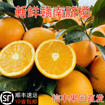 正宗江西赣南脐橙当季新鲜水果10斤信丰手剥甜橙子20产地现摘直发
