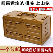 新款 塑胶鸟排笼格笼画鸟眉小排笼快递运输笼媒笼便携绣眼颠颏外带
