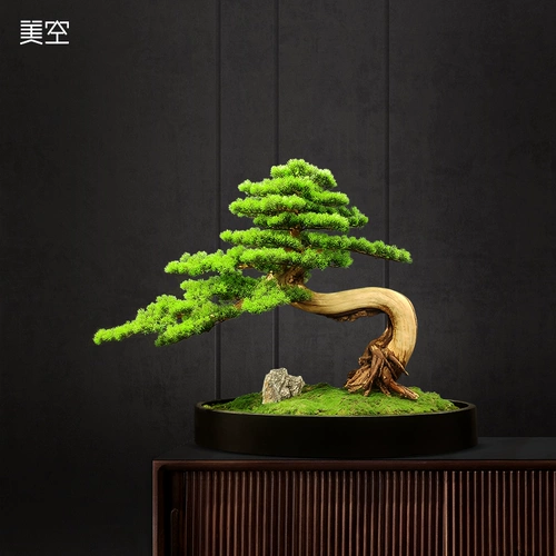 Mikong 251/Сплошное дерево