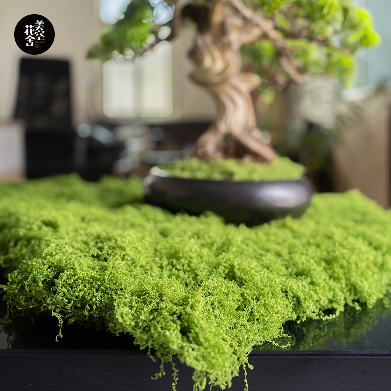 美空花舍户外抗晒透水苔藓布草皮