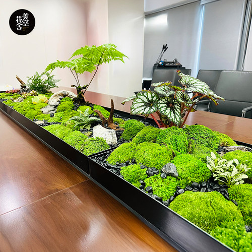 会议桌中间微景观摆件长桌苔藓绿植造景桌面装饰假花摆设/美空203