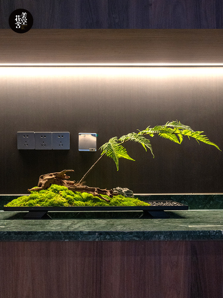 永恒的苔藓装饰品,入口咖啡桌,会议桌,插花,模拟微景观,绿色