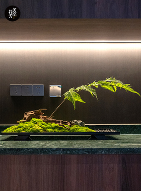 永恒的苔藓装饰品，入口咖啡桌，会议桌，插花，模拟微景观，绿色