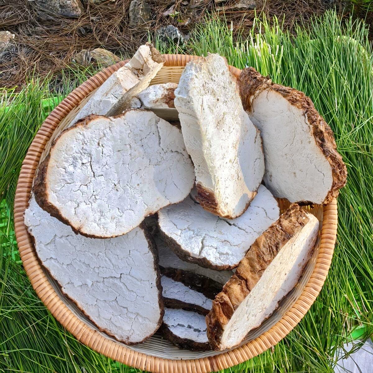 云南野生带皮茯苓片中药材伏苓土茯苓