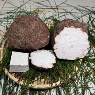 云南深山新鲜茯苓中药材无硫熏个头大小不一品质好带皮茯苓批发