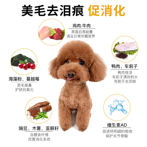 果莉派小泰迪狗粮专用粮成犬小型犬幼犬试吃装桶装奶糕5斤小颗粒