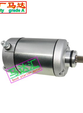 适用ZONTES升仕ZT310-X/R/T/V 幽灵ZT250-S/R启动马达起动机电机