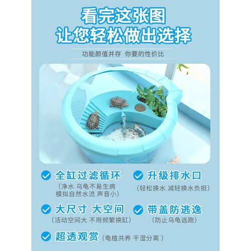 乌龟缸送小乌龟活体家用巴西龟鳄龟中华草龟家养宠物龟饲养缸活物