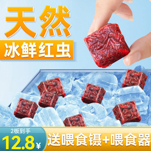 冰冻红虫牛心汉堡鱼食丰年虾罗汉鱼食七彩神仙鱼粮鱼六角恐龙饲料