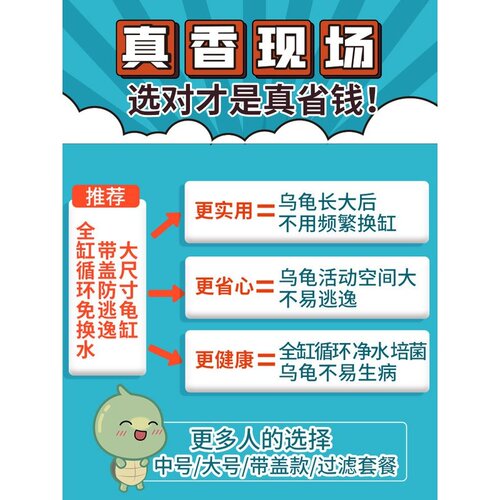 宠尚天 带缸龟缸送2只小乌龟活物活体龟盆巴西龟宠物龟中华草龟