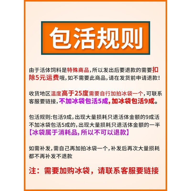 樱桃蟑螂活体饲料樱桃红蟑螂幼体活虫爬宠爬虫鸣虫食物守宫金龙鱼,宠物/宠物食品及用品,爬虫/鸣虫食物,淘宝优惠券,粉丝福利购,淘宝优惠卷