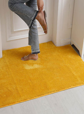 定制金黄色地毯金色招财入户门垫家用土黄色进门口脚垫客厅满铺