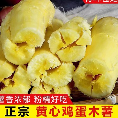 广西特产新鲜黄心黄肉木薯粉糯甜板栗5斤现挖黄肉面包黄金木薯