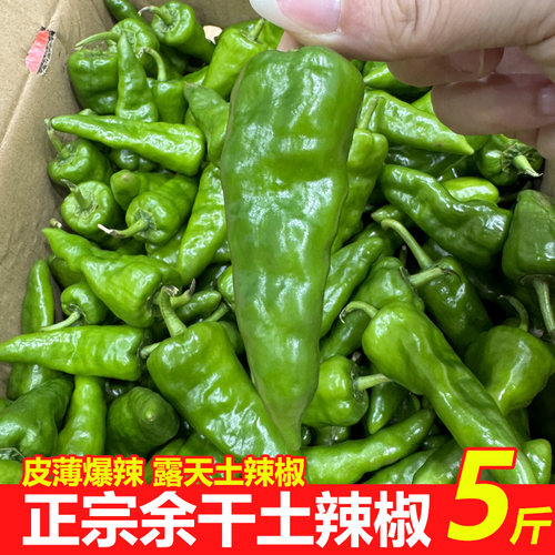 皮子余干辣椒金约包邮