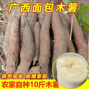 广西特产面包木薯新鲜现挖红皮白肉木薯粗粮3/5/10斤树薯粉香番薯