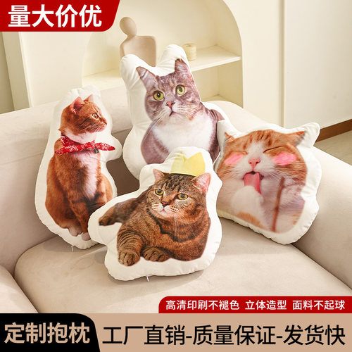 猫狗异形抱枕来图定制定制形状