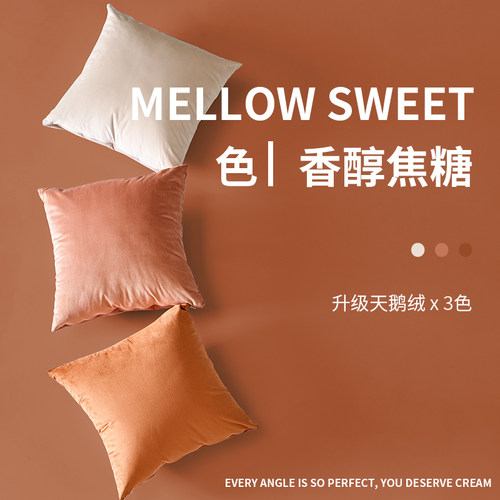 守一抱枕靠垫客厅沙发