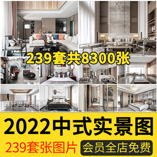 2024年新中式风格家装修设计照片样板间卧室客厅效果实景图素材