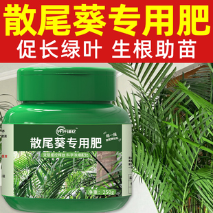 散尾葵肥料有机肥凤尾竹专用营养液夏威夷竹复合缓释绿植盆栽植物